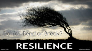election-resilience-bend-or-break-ray-lutz
